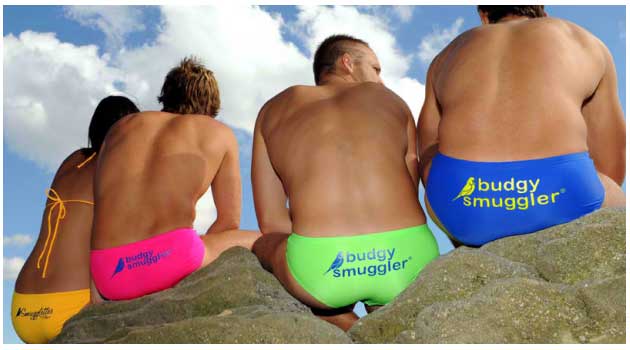budgy smuggler swimwear australia