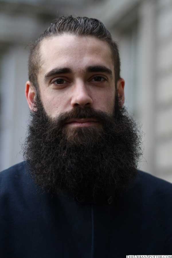 Beards for men - 2013