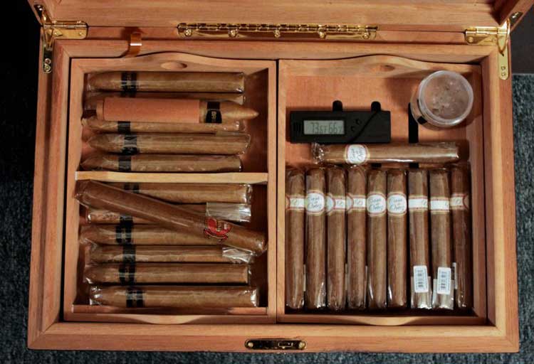 cigar humidor (2)
