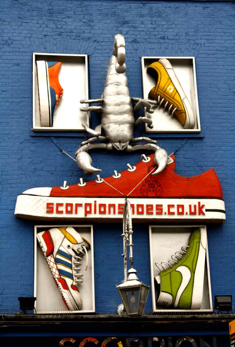 Camden Lock - Scorpion Shoes That Are Savvy In Style