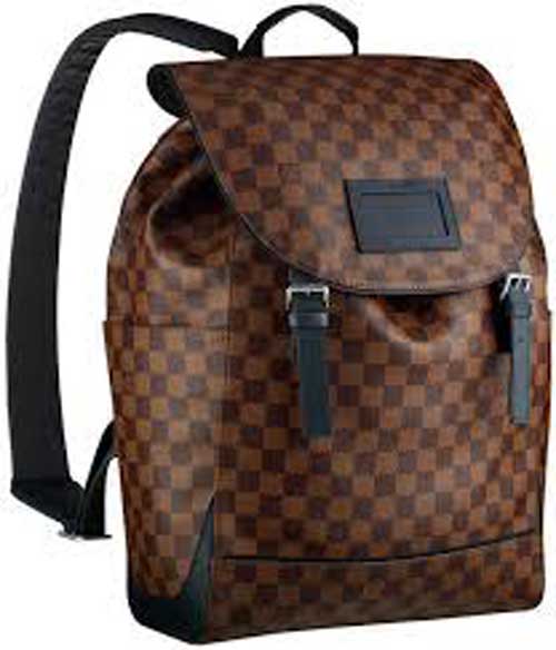 Louis Vuitton Luggage (1)