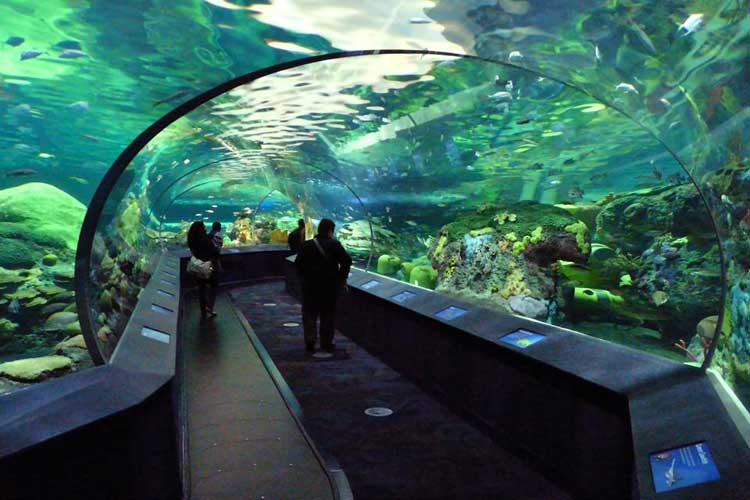 Toronto-Aquarium