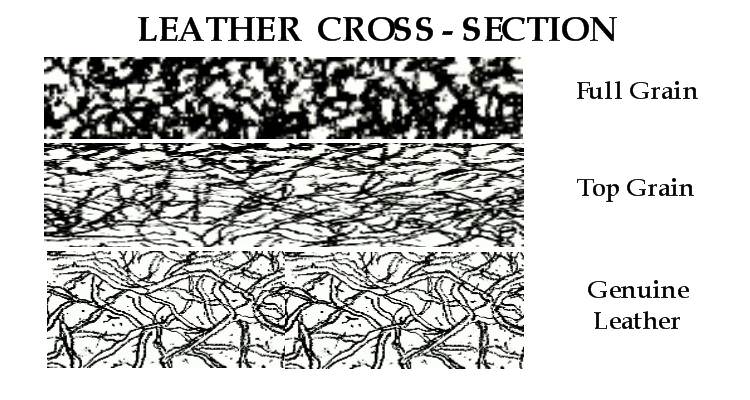 Leather Cross Section_edit