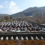 South Korean Food 2018 Gangwondo Provincial Specialties