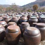 South Korean Food 2018 Gangwondo Provincial Specialties