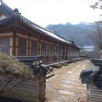 South Korean Food 2018 Gangwondo Provincial Specialties