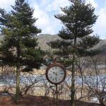 South Korean Food 2018 Gangwondo Provincial Specialties
