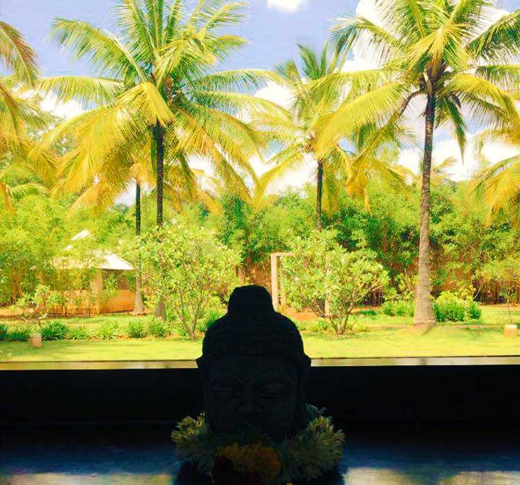 Shreyas Yoga Retreat – Yoga & Spa Detailed Review