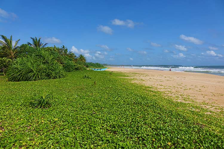 Heritance Ahungalla Sri Lanka – Hotel Resort On The Ocean