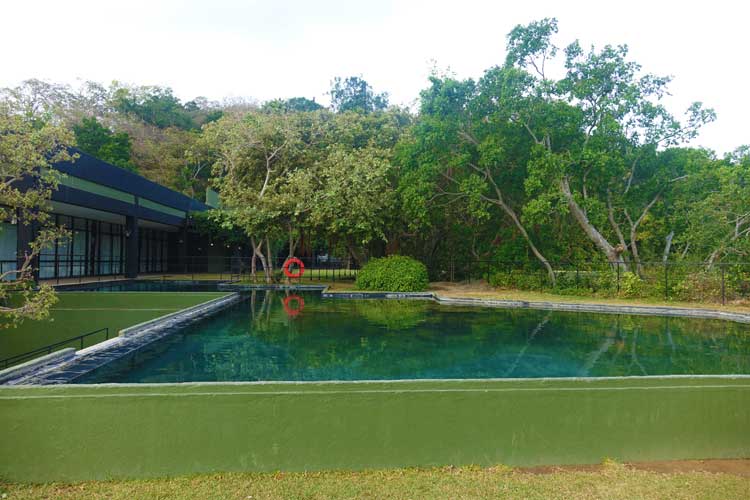 heritance Kandalama hotel review Sri Lanka - pool