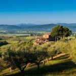 Conti di San Bonifacio Wine Resort – A Tuscan affair