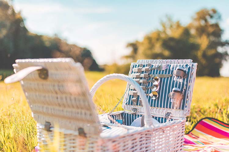 Picnic Date - How To Impress Your Date?
