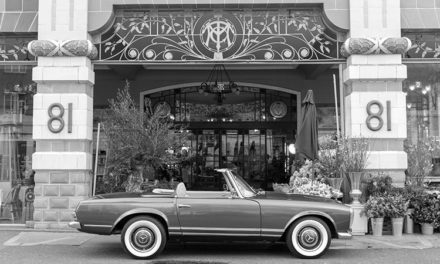 Ionic Cars – Carbon Free Lifestyle