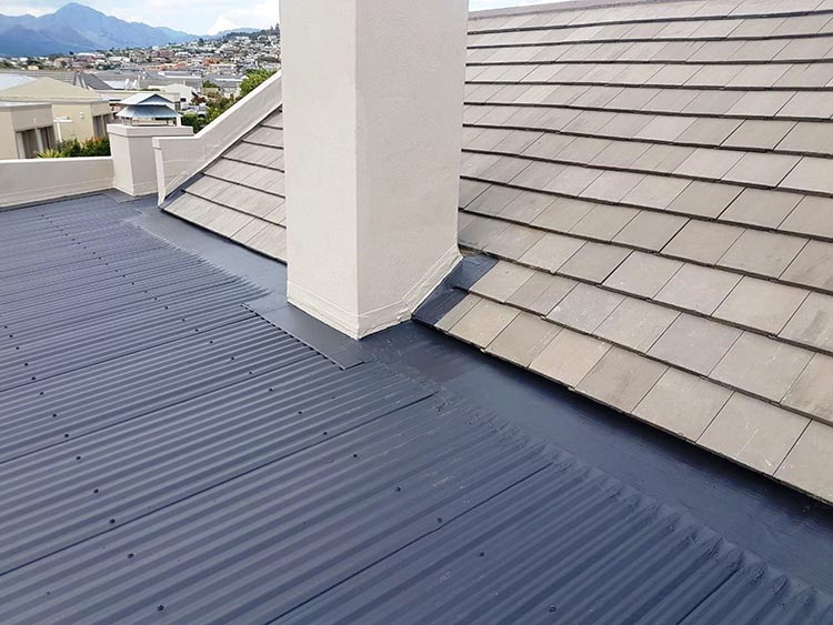 Is Your Roof In Santa Rosa Algae Resistant Or Not