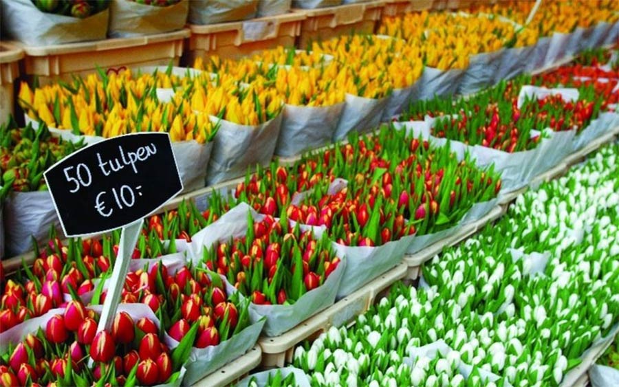 flowers sold on market stand