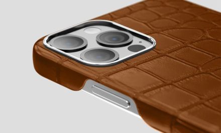 Alligator Skin iPhone Case – Helpful Choosing Tips from Labodet Store