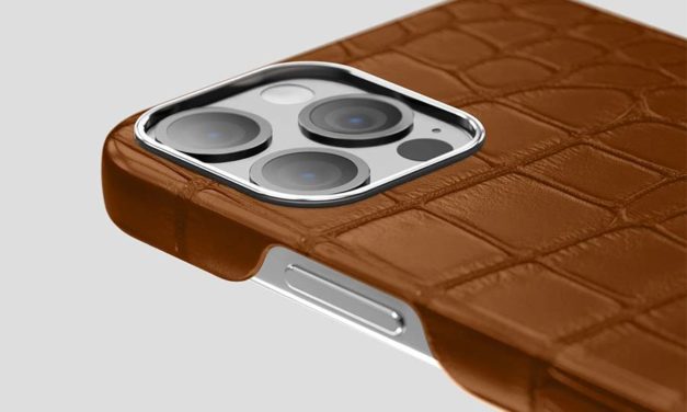 Alligator Skin iPhone Case – Helpful Choosing Tips from Labodet Store