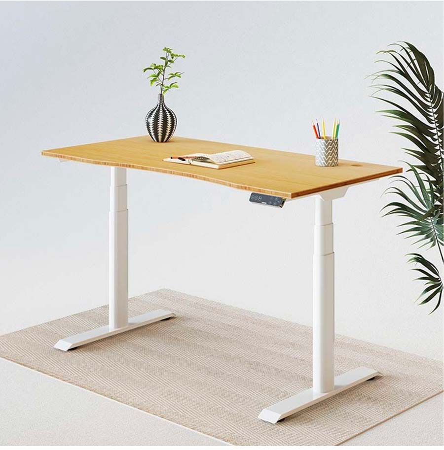 FlexiSpot E8 Standing Desk - Easy To Assemble Review