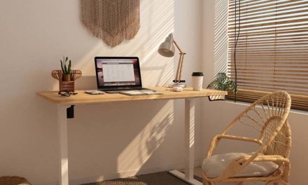 FlexiSpot E8 Standing Desk Review – Easy To Assemble & Live With