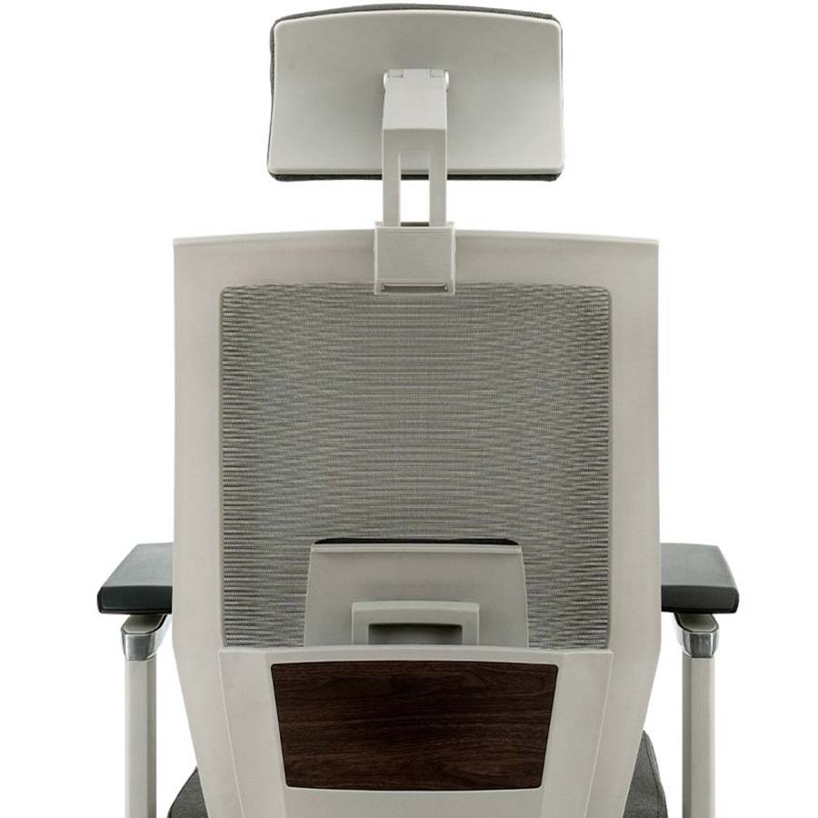 Flexispot BackSupport Office Chair BS10 - The Home Office Review