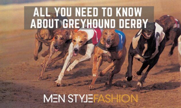 All You Need to Know About Greyhound Derby