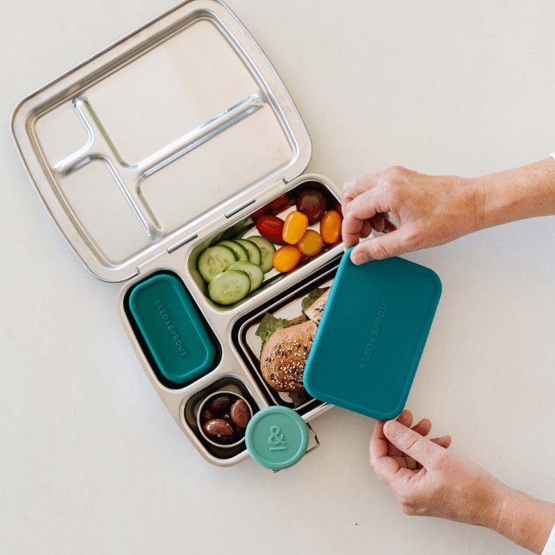 Sustainable lunchbox