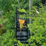 Four Seasons Koh Samui – Nature, Stillness, And A Proper Reset