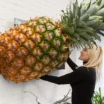 Online Dating: Why Men Are Ditching the App for Pineapple Instead