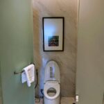 Why the Self-Cleaning Toilet Seat That Lifts Itself Might Save Your Relationship