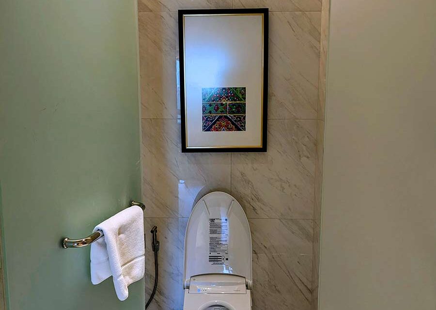 Why the Self-Cleaning Toilet Seat That Lifts Itself Might Save Your Relationship